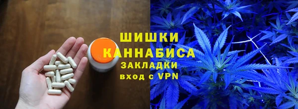 МДПВ Верхний Тагил