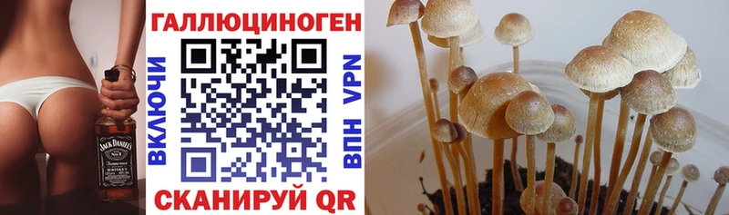 что такое   mega ссылка  Галлюциногенные грибы мухоморы  Мегион 